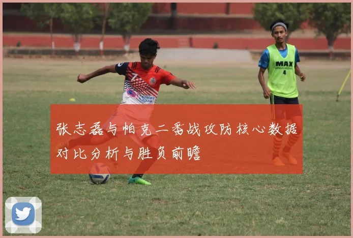 张志磊与帕克二番战攻防核心数据对比分析与胜负前瞻