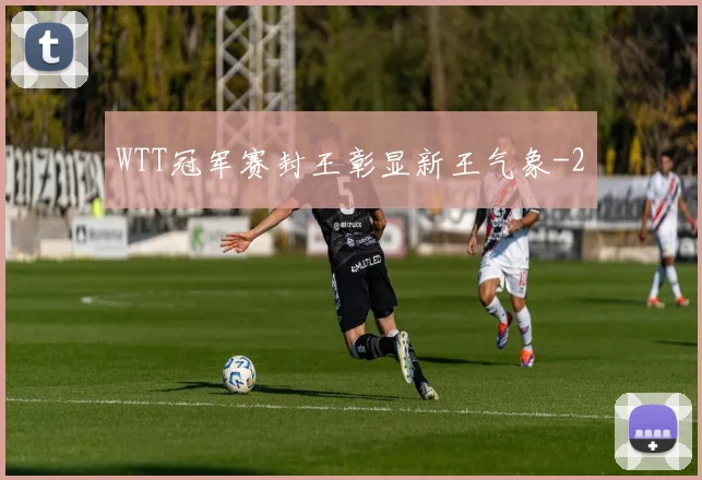 WTT冠军赛封王彰显新王气象